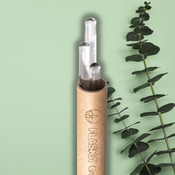 flaska green varilla de vidrio programado para estructurar el agua de tus plantas, con embalaje de cartón tubular sobre fondo verde con hoja de eucalipto