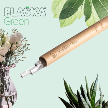 flaska green varilla de vidrio programado para estructurar el agua de tus plantas, pack de 3 unidades con embalaje de cartón tubular sobre fondo verde con hojas de árboles, ramo de flores en macetero y una planta suculenta
