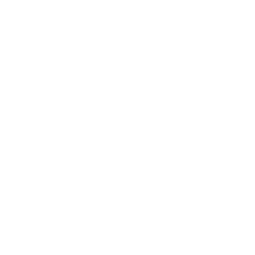 Fondo completamente blanco.