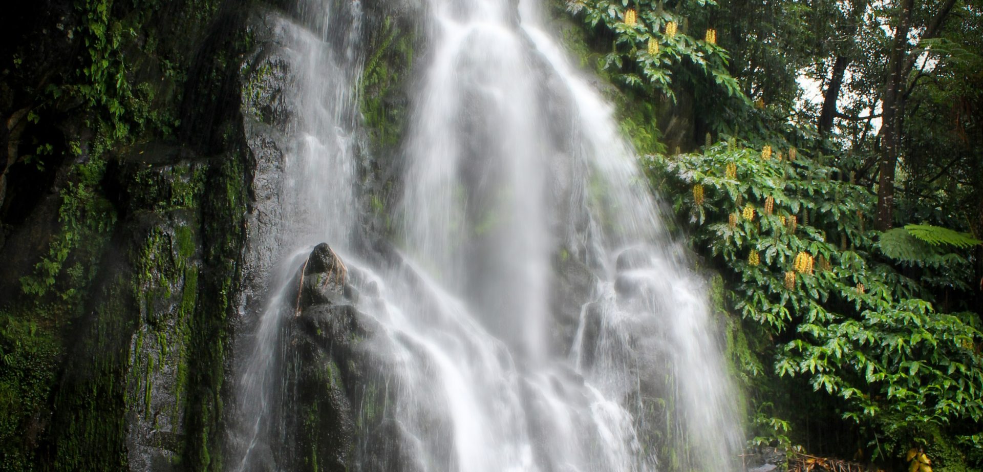 Una cascada serena cae sobre rocas rodeadas de un exuberante follaje verde.