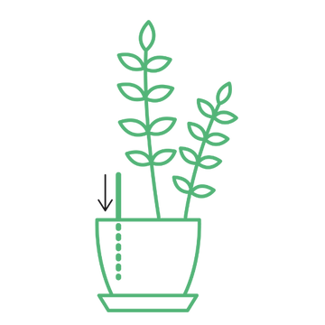 icono de color verde representando la varita flaska green en una faceta con una planta de interior